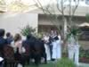 Kelly & Diego Wedding 070.jpg (113kb)